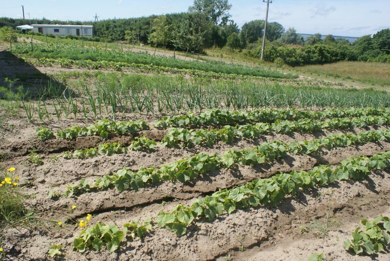 Agrodomki Okej -Dom Kasjan Gardna Wielka Екстериор снимка